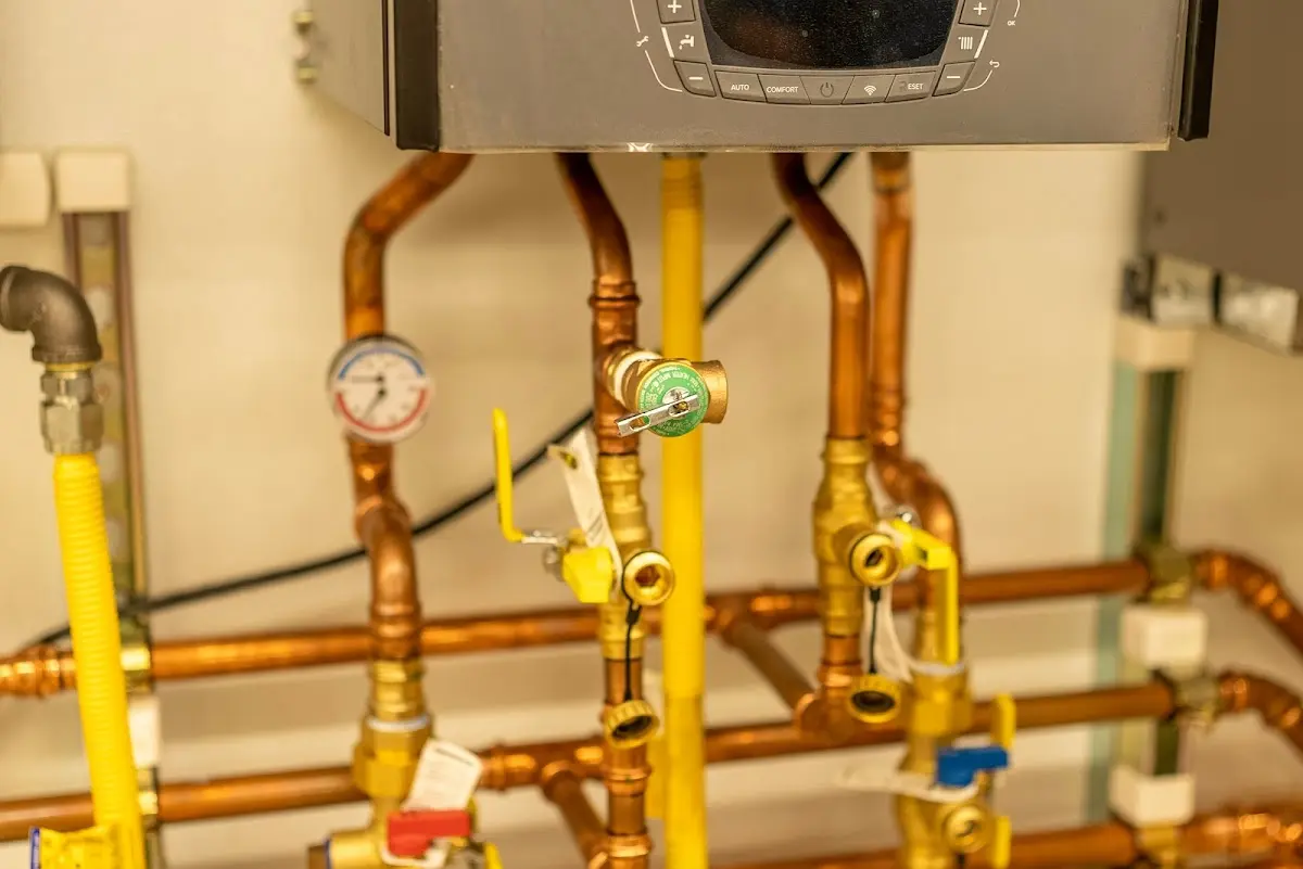 Licensed technician providing Sump Pump Repair for a homeowner in Camano